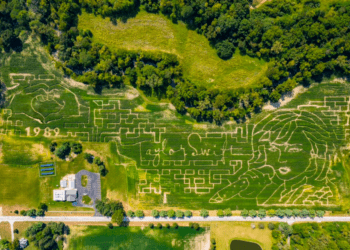 Wheeler Farms in Whitehouse, Ohio, has unveiled its corn maze design for the 2024 season, and it features pop star Taylor Swift.