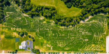 Wheeler Farms in Whitehouse, Ohio, has unveiled its corn maze design for the 2024 season, and it features pop star Taylor Swift.