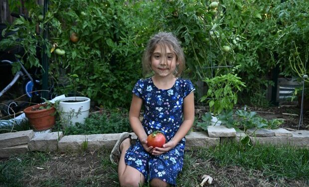 Naomi, 7, shows off the family's prized garden that is full of vegetables at her home in Denver on Sept. 17, 2024. (Photo by Helen H. Richardson/The Denver Post)