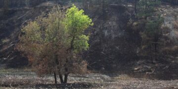 Remington Fire chars pastures at high risk for coal seam fires