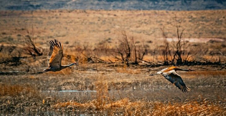 Utah is Suing the Federal Government to Reclaim Your Public Land