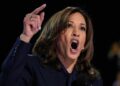 Democratic presidential nominee Vice President Kamala Harris speaks during the Democratic National Convention Thursday, Aug. 22, 2024, in Chicago. (AP Photo/Brynn Anderson)