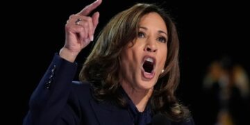 Democratic presidential nominee Vice President Kamala Harris speaks during the Democratic National Convention Thursday, Aug. 22, 2024, in Chicago. (AP Photo/Brynn Anderson)