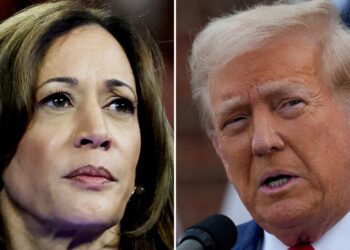 Who is winning in presidential election? Harris-Trump polls and odds