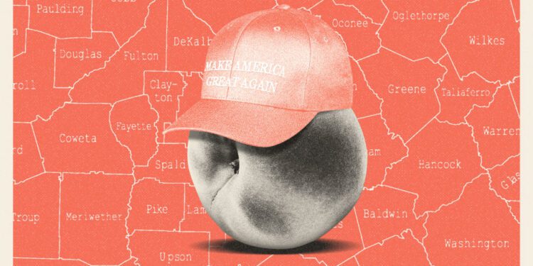 Illustration of a peach wearing a MAGA baseball cap in front of a Georgia counties map.